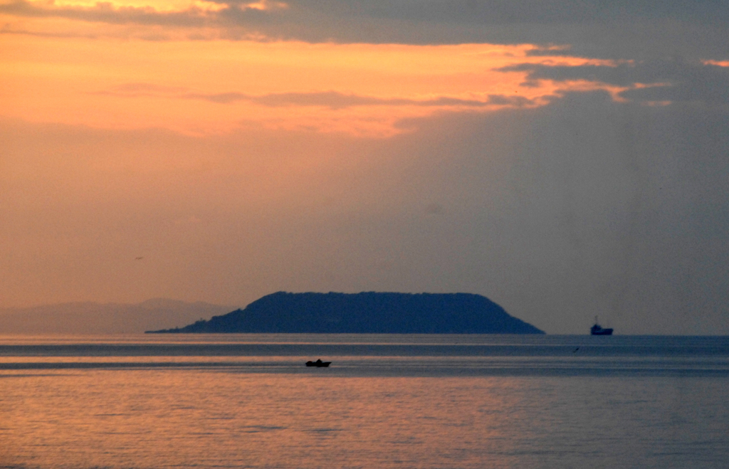 夕日に映えて