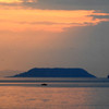 夕日に映えて