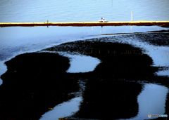 海の中道