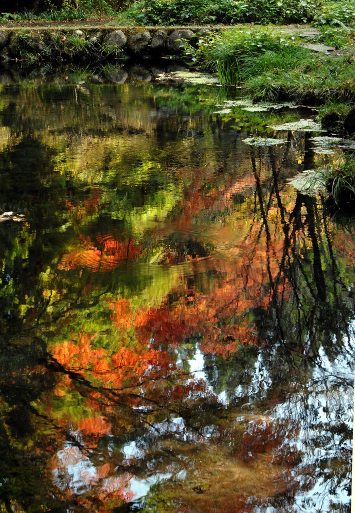 水に映える紅葉