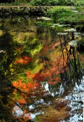 水に映える紅葉