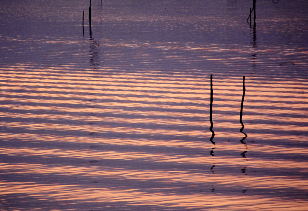 夕日の中のさざ波