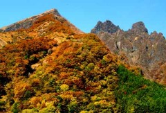 根子岳の秋
