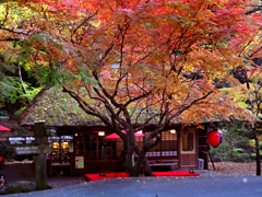 京都にて