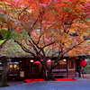 京都にて