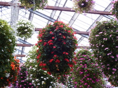 神戸花鳥園にて