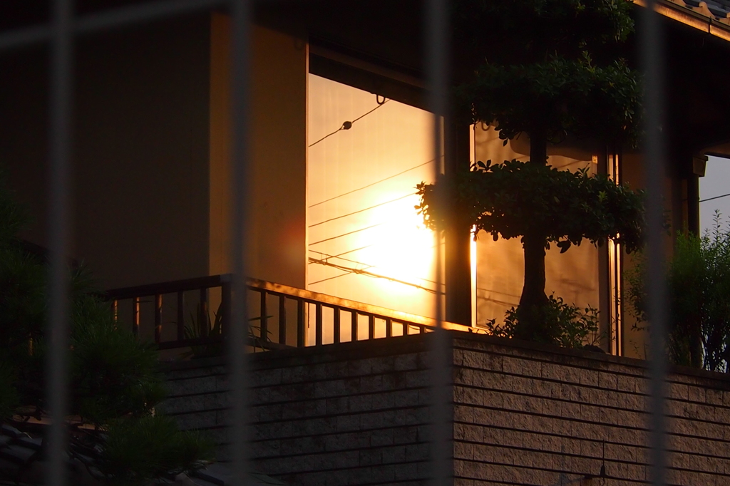 夕日