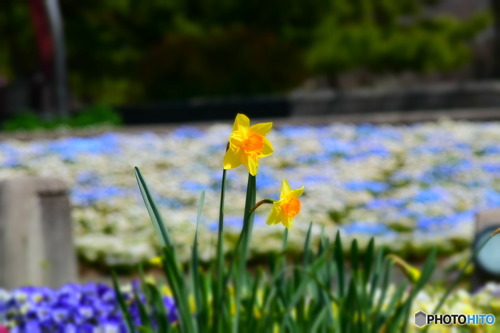 久宝寺公園