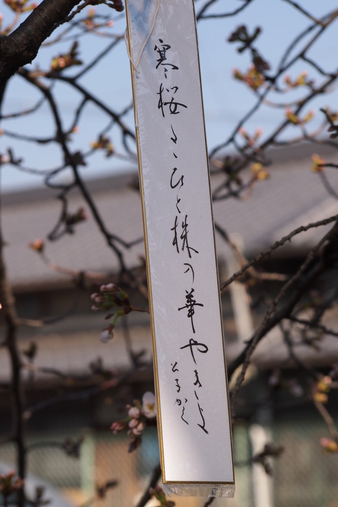 春の訪れ　昨日の続きです  3