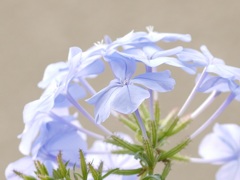 P1060531