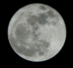 満月