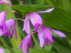 P5060045