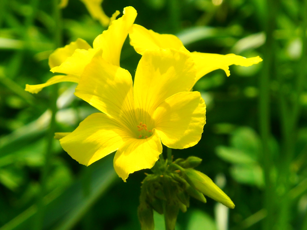 EM-5でのテスト撮り  3