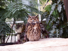 神戸花鳥園にて