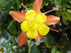 鶴見緑地公園にて