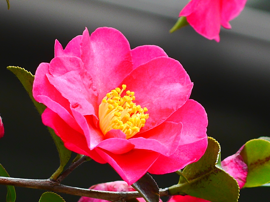 P1070019