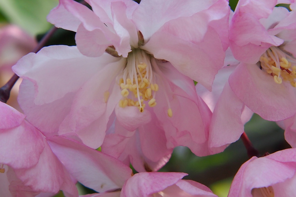 こんばんは　今日も一日お疲れ様でした