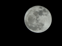 今日の満月