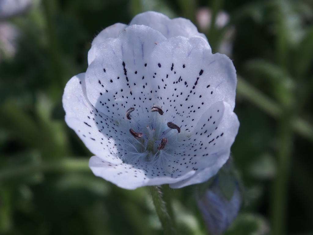 P4110059
