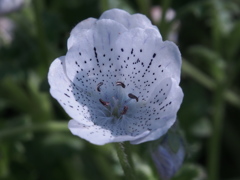 P4110059
