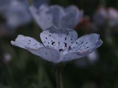 P4110060