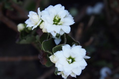 P5071404