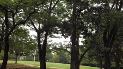 久宝寺公園にて