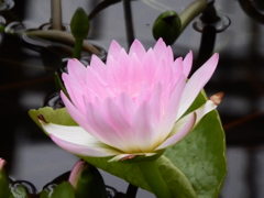 神戸花鳥園にて