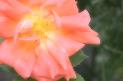 P5071412