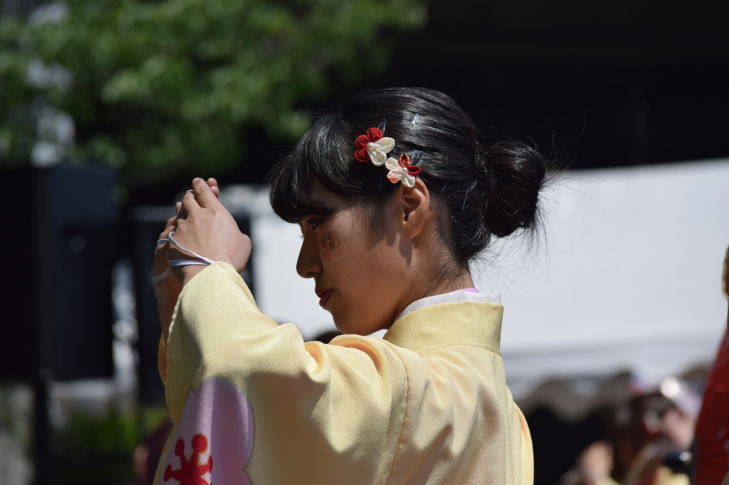 大阪ベイエリア祭り　4  美女