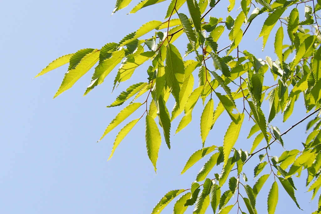 久宝寺公園にて