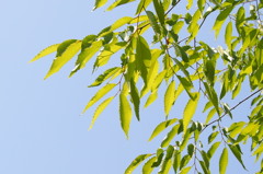 久宝寺公園にて