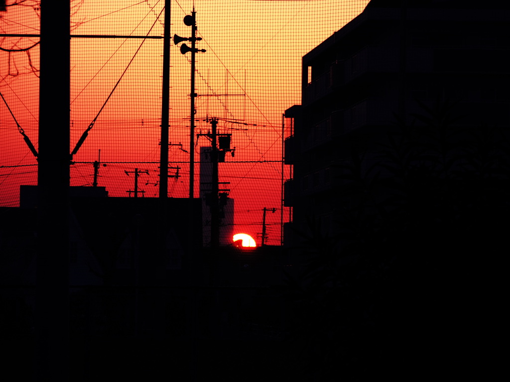 今日の夕日