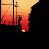 今日の夕日