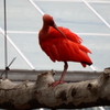 DSCF1166