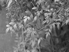 P1060520