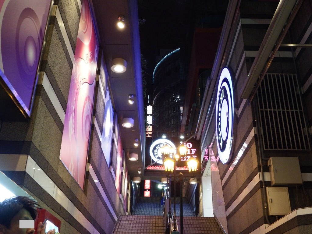 DSCF1184