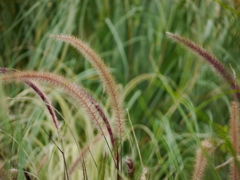 P1050764