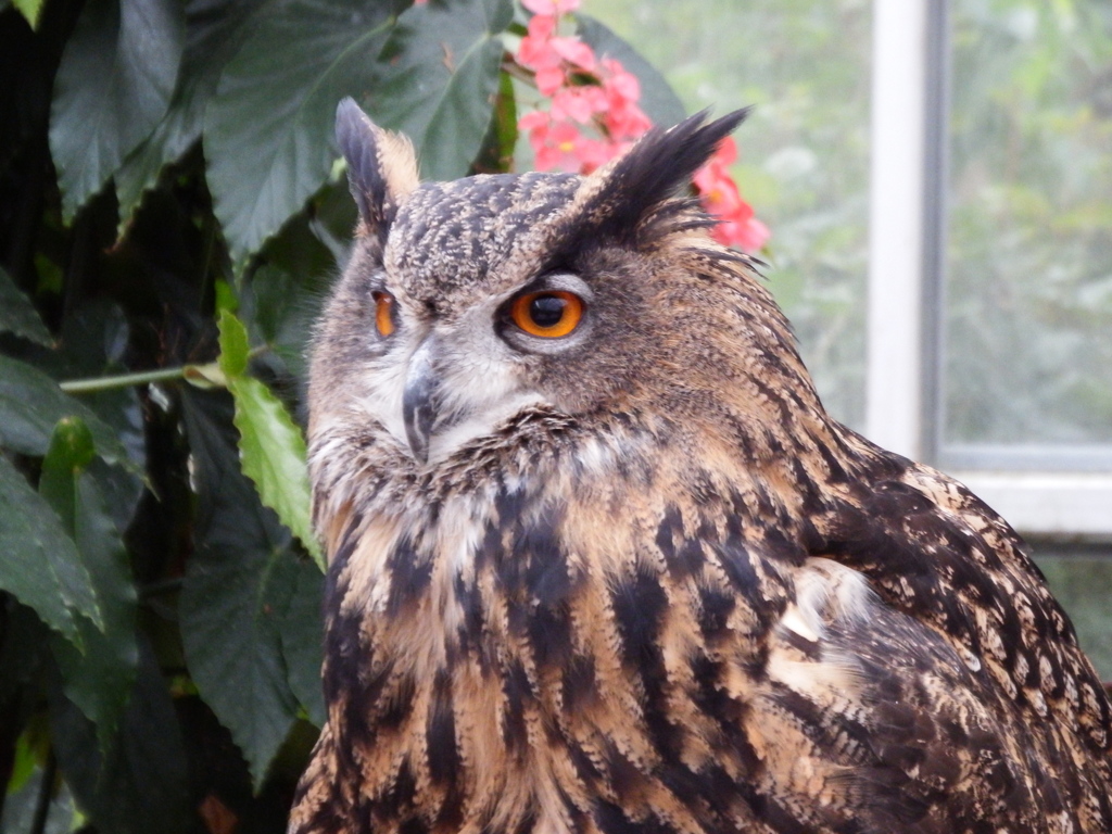 神戸花鳥園にて