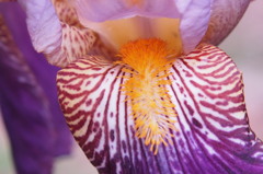 P1011201
