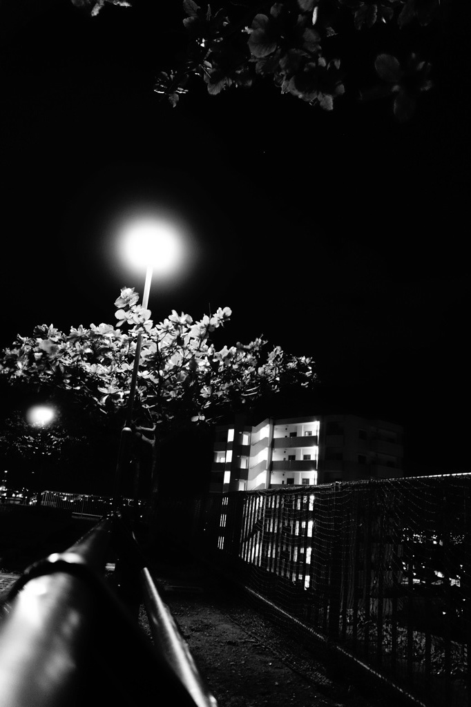夜だ