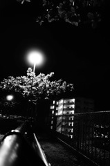 夜だ