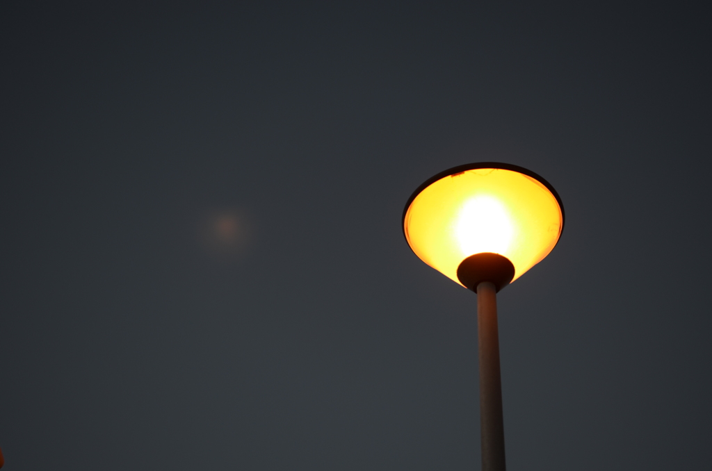 電灯