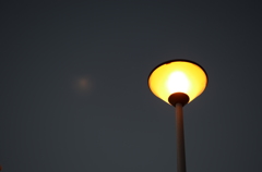 電灯