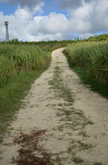 路