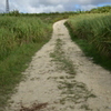 路