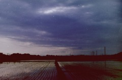 夕焼け！