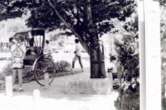 観光地