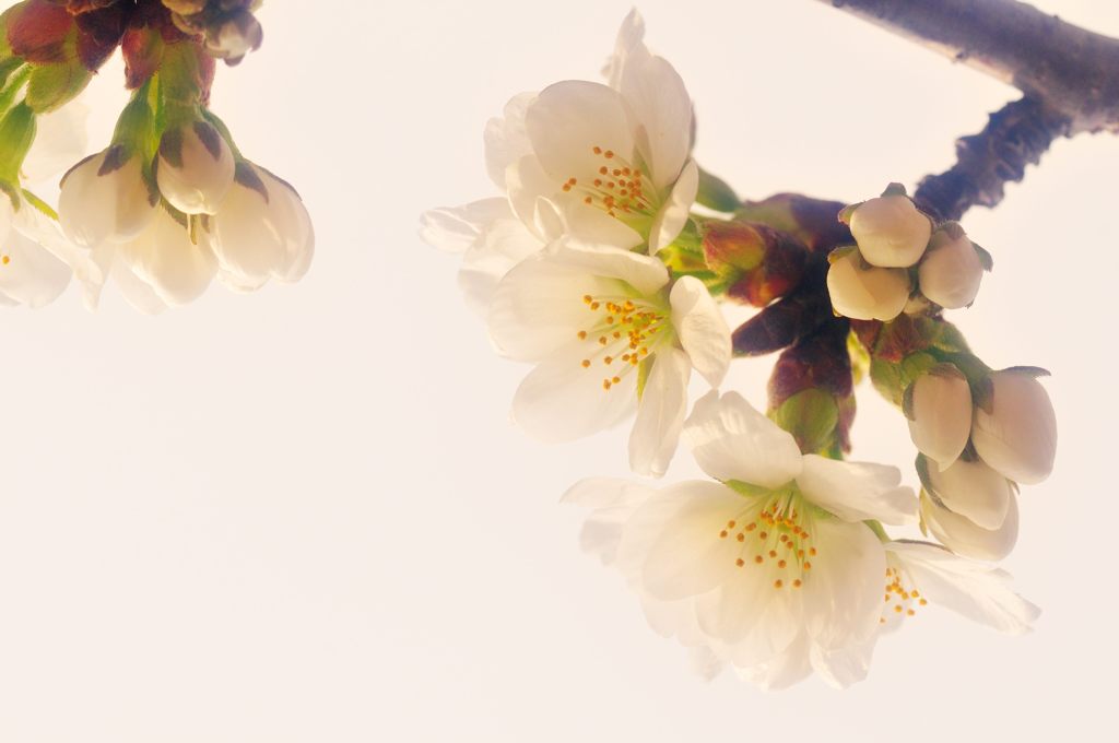 〜spring〜