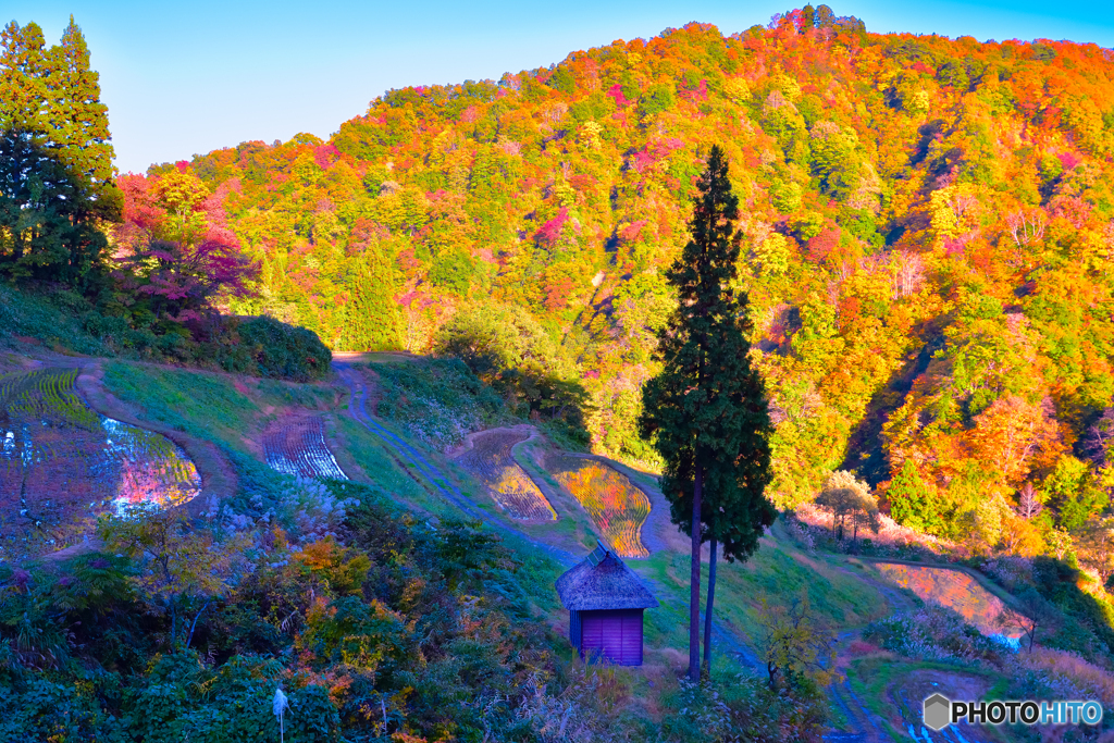 留守原の棚田の紅葉